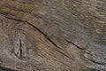 Old wood texture. Abstract background