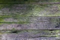 Old wood texture background with green moss Royalty Free Stock Photo