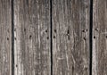 Old wood texture background with rusted nails. Detail of rustic door. Royalty Free Stock Photo