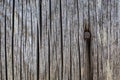 Old wood texture background and rusty nail Royalty Free Stock Photo