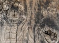 Old wood texture background. Wooden texture. Nature background