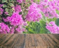 old wood texture with blur Bougainvillea flower in the field background Royalty Free Stock Photo