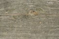 Old wood texture Royalty Free Stock Photo