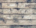 Old wood texture