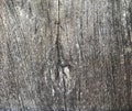 Old wood Texture With natural pattern knot and cracks.Old Knotted Wood, Weathered, Rotten, Cracked, Vignette,