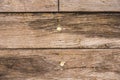 The old wood texture with natural patterns background with rusty nails. wooden texture. surface vintage tone.wooden texture Royalty Free Stock Photo