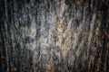 The old wood texture with natural patterns and cracks on the surface as background. Darken from center. Royalty Free Stock Photo