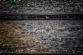 The old wood texture with natural patterns and cracks on the surface as background. Darken from center Royalty Free Stock Photo