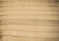 Old wood texture. Perfect vintage background with copyspace. Royalty Free Stock Photo