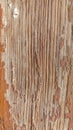 Old wood texture with rustic faded or removed paint