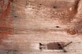 Old wood texture with rusty nails Royalty Free Stock Photo