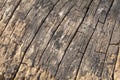 Old wood textures background