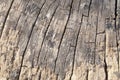 Old wood textures background Royalty Free Stock Photo