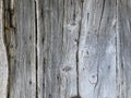 Old wood texture with natural patterns. Abstract background and texture for design. Royalty Free Stock Photo