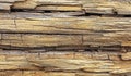 Old wood trunk on beach