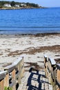 Old wood walkway leading beachgoers down to the calm ocean water Royalty Free Stock Photo