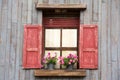 Old wood window with flower Royalty Free Stock Photo