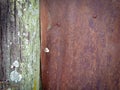 Old wood and Zinc rust Royalty Free Stock Photo