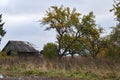 Old wooden abandoned farmstead in the middle of the field in Lithuania Royalty Free Stock Photo