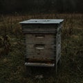An old wooden apiary in an autumn field. Royalty Free Stock Photo