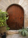 Old wooden arch door and plants. Royalty Free Stock Photo