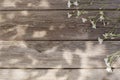 Old wooden background of boards with sun light Royalty Free Stock Photo