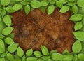 Old wooden background with green floral frame