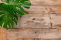 Old wooden background with green leaves, top view, copy space. Spring twigs on shabby background Royalty Free Stock Photo