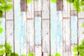 Old wooden background with green tree frame Royalty Free Stock Photo