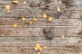 Old wooden background made of boards. Gray-brown wood texture with rusty curved nails, and yellow autumn leaves Royalty Free Stock Photo