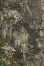 Old wooden background made of natural wood with cracks, chips and covered with moss. Copy space Royalty Free Stock Photo