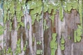 Old wooden background with peeling paint. Vintage boards with blue and green coating Royalty Free Stock Photo