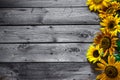 Old wooden background with sunflowers. Royalty Free Stock Photo