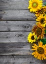 Old wooden background with sunflowers.