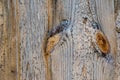 Old wooden background. Wooden table, floor or wall Royalty Free Stock Photo