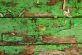 Old wooden background texture of boards with cracked green paint. table. Autumn yellow brown fallen leaves on shabby Royalty Free Stock Photo