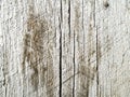 Old wooden background with vertical weathered boards