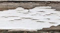 Old wooden background with white chapped paint Royalty Free Stock Photo