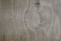 Old wooden background. Worn wood texture Royalty Free Stock Photo