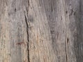 Old wooden bark