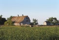 Old wooden barn and barnyard