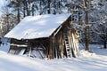 old wooden barn in the forest in winter Royalty Free Stock Photo