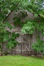 An old wooden barn overgrown with trees. Royalty Free Stock Photo
