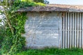 Old Wooden Barn Wall With Ivy Tracks for Grungy Rustic Background