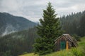 Old wooden barn in wood. Horizontal photography Royalty Free Stock Photo