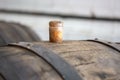 Old wooden barrel with cork. closed wine barrel Royalty Free Stock Photo