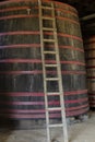 Old barrel used to store wine. Itata Valley Chile Royalty Free Stock Photo