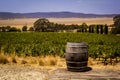 Old wooden barrel in vineyard, Australia Royalty Free Stock Photo