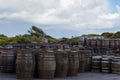 Old wooden barrels and casks with single malt Scotch at whisky distillery in Scotland Royalty Free Stock Photo