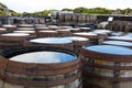 Old wooden barrels and casks with single malt Scotch at whisky distillery in Scotland Royalty Free Stock Photo